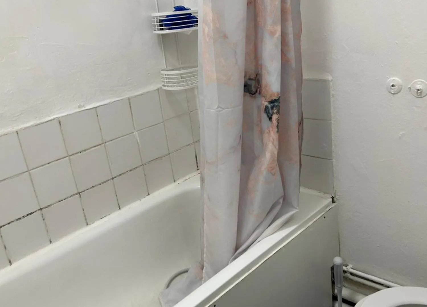 House With Private Garden Apartment London United Kingdom